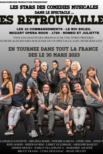 affiche les retrouvailles